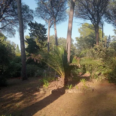 L'esbadaia