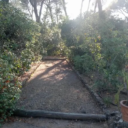 L'esbadaia Saint-Raphaël