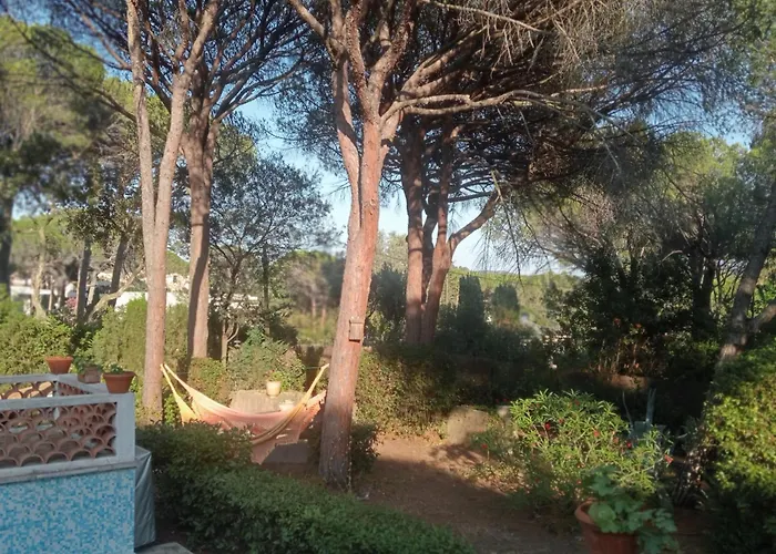 L'esbadaia Saint-Raphaël