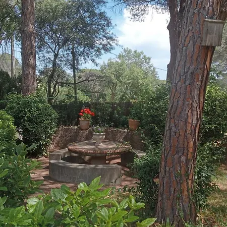 L'esbadaia 빌라 Saint-Raphaël